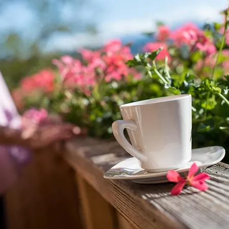 Allmaier Пёрчах-ам-Вёртерзе