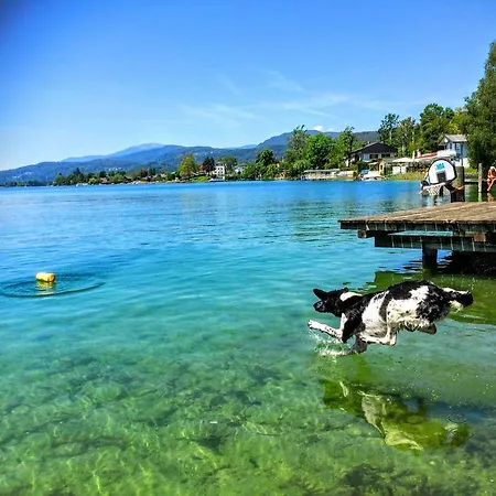 Апартаменты Allmaier *