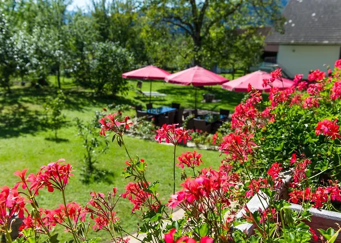 Allmaier Apartamento