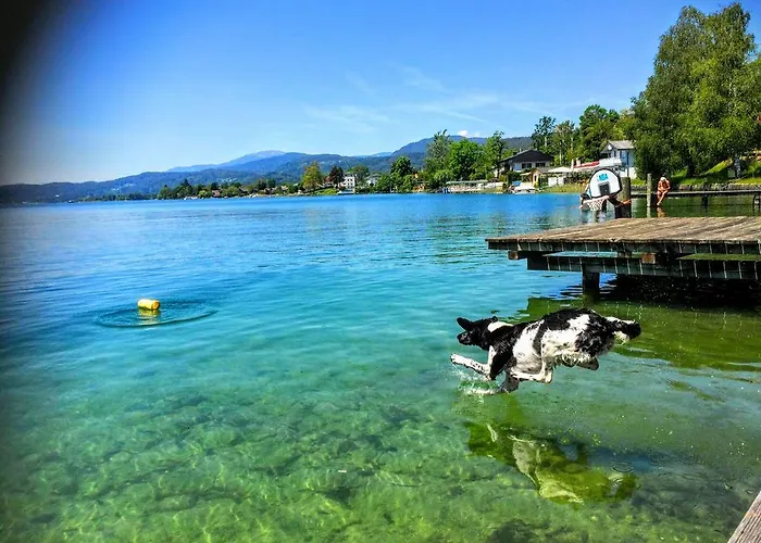 Apartamento Allmaier *